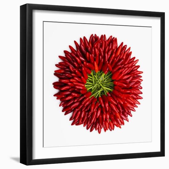 Chili Peppers-null-Framed Photographic Print