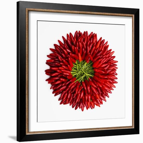 Chili Peppers-null-Framed Photographic Print