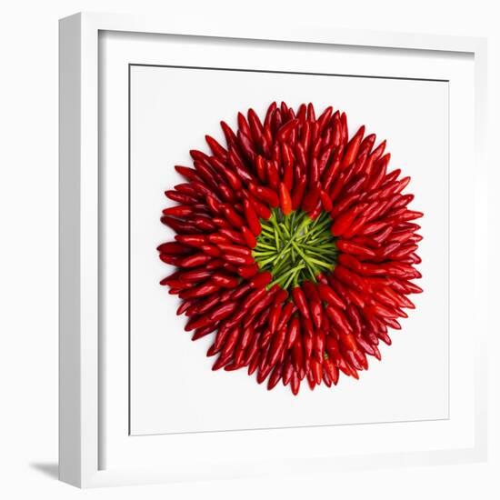 Chili Peppers--Framed Photographic Print