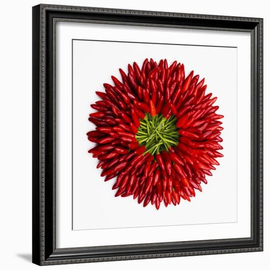 Chili Peppers--Framed Photographic Print