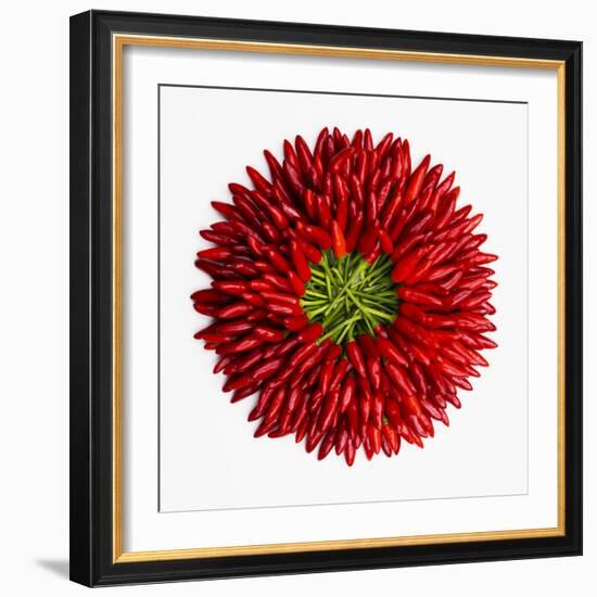 Chili Peppers--Framed Photographic Print