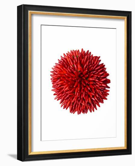 Chili peppers-null-Framed Photographic Print