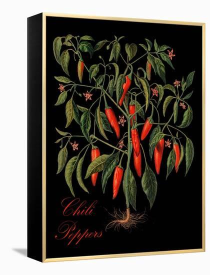 Chili Peppers-Mindy Sommers-Framed Premier Image Canvas