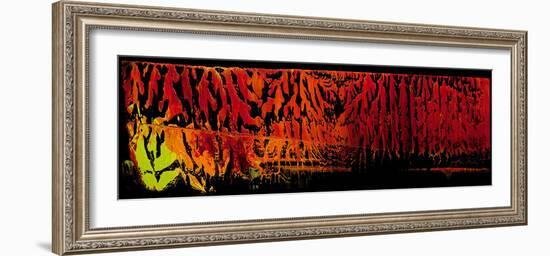 chili PepperZ-Pamela Nielsen-Framed Giclee Print