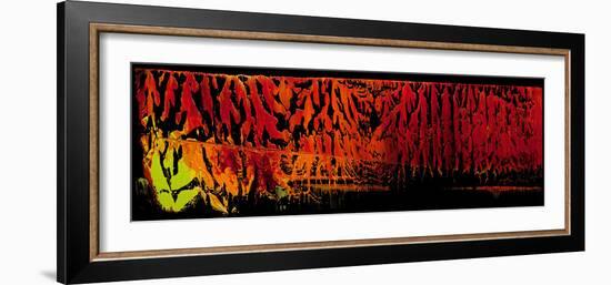 chili PepperZ-Pamela Nielsen-Framed Giclee Print