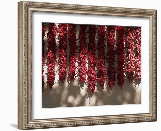 Chili Ristras, Chimayo, New Mexico, USA-Michael Snell-Framed Photographic Print