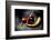 Chili-Fabio Petroni-Framed Photographic Print