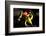 Chili-Fabio Petroni-Framed Photographic Print