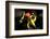 Chili-Fabio Petroni-Framed Photographic Print