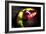 Chili-Fabio Petroni-Framed Photographic Print