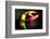 Chili-Fabio Petroni-Framed Photographic Print