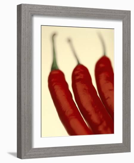 Chili-null-Framed Photographic Print