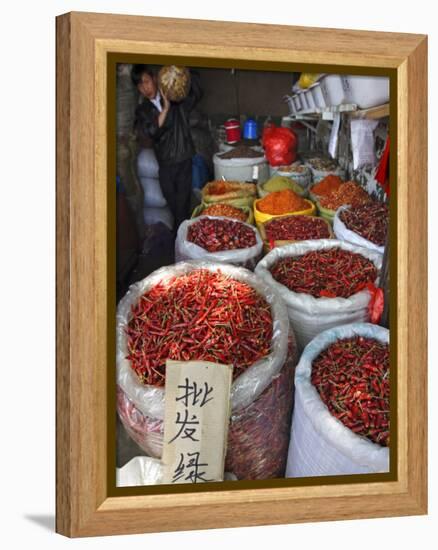 Chilli Peppers and Spices on Sale in Wuhan, Hubei Province, China-Andrew Mcconnell-Framed Premier Image Canvas