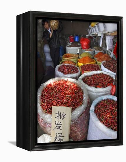 Chilli Peppers and Spices on Sale in Wuhan, Hubei Province, China-Andrew Mcconnell-Framed Premier Image Canvas