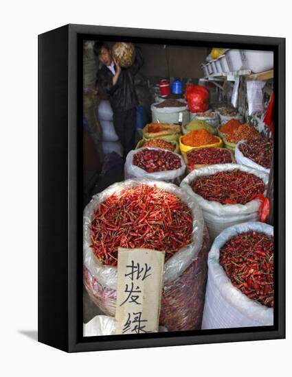 Chilli Peppers and Spices on Sale in Wuhan, Hubei Province, China-Andrew Mcconnell-Framed Premier Image Canvas