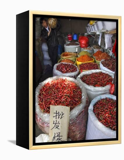 Chilli Peppers and Spices on Sale in Wuhan, Hubei Province, China-Andrew Mcconnell-Framed Premier Image Canvas