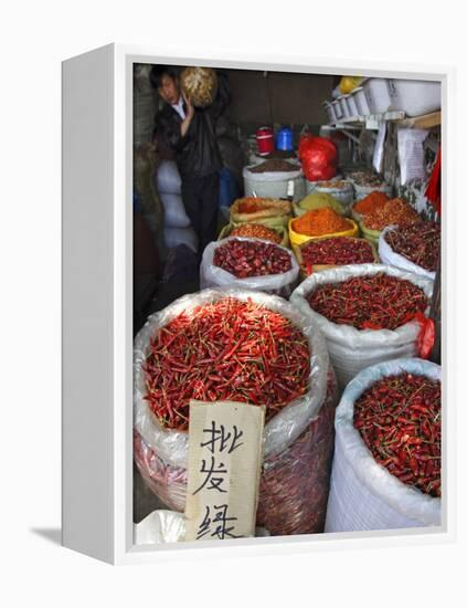 Chilli Peppers and Spices on Sale in Wuhan, Hubei Province, China-Andrew Mcconnell-Framed Premier Image Canvas