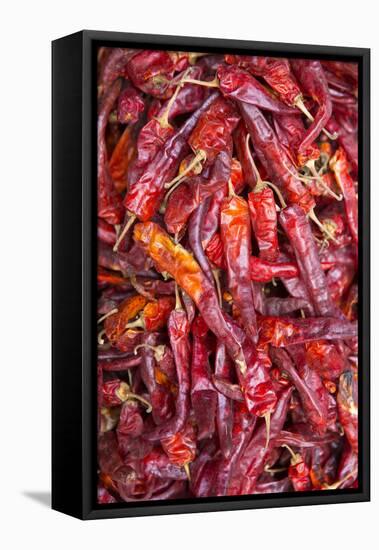 Chilli Peppers in the Market, Monywa, Sagaing, Myanmar, Southeast Asia-Alex Robinson-Framed Premier Image Canvas