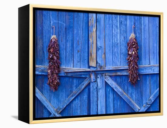 Chilli Ristra Hanging in Old Town Albuquerque, New Mexico-Michael DeFreitas-Framed Premier Image Canvas