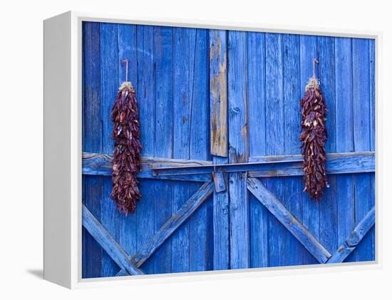 Chilli Ristra Hanging in Old Town Albuquerque, New Mexico-Michael DeFreitas-Framed Premier Image Canvas