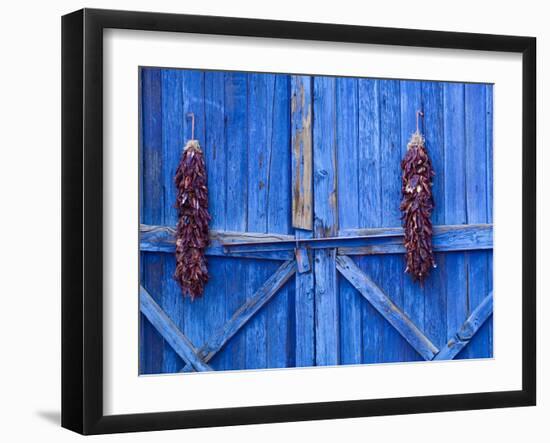 Chilli Ristra Hanging in Old Town Albuquerque, New Mexico-Michael DeFreitas-Framed Photographic Print