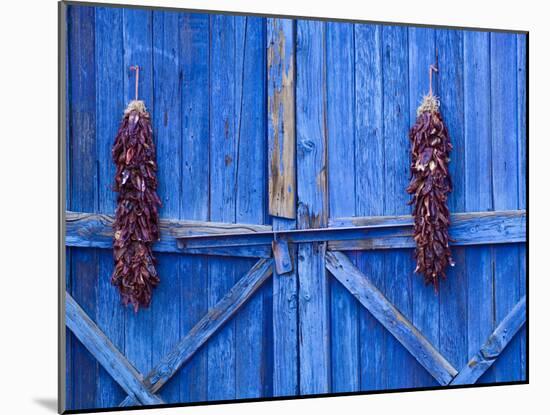 Chilli Ristra Hanging in Old Town Albuquerque, New Mexico-Michael DeFreitas-Mounted Photographic Print