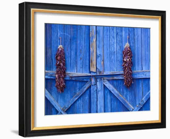 Chilli Ristra Hanging in Old Town Albuquerque, New Mexico-Michael DeFreitas-Framed Photographic Print