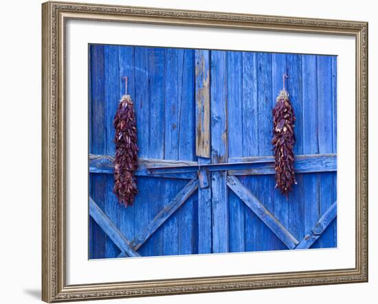 Chilli Ristra Hanging in Old Town Albuquerque, New Mexico-Michael DeFreitas-Framed Photographic Print