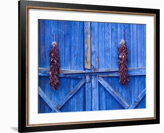 Chilli Ristra Hanging in Old Town Albuquerque, New Mexico-Michael DeFreitas-Framed Photographic Print