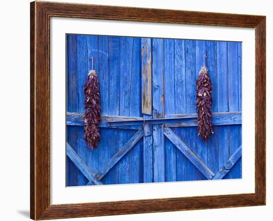 Chilli Ristra Hanging in Old Town Albuquerque, New Mexico-Michael DeFreitas-Framed Photographic Print