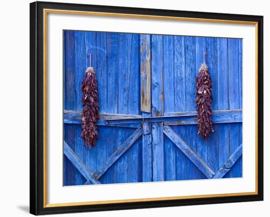 Chilli Ristra Hanging in Old Town Albuquerque, New Mexico-Michael DeFreitas-Framed Photographic Print