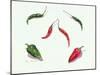 Chillies and Peppers, 2005-Alison Cooper-Mounted Giclee Print