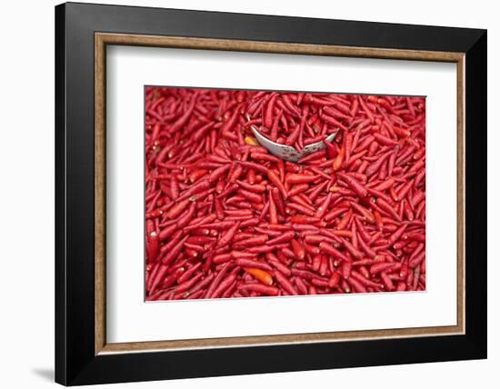 Chillies at Sunday Market at Bac Ha, Vietnam, Indochina, Southeast Asia, Asia-Bruno Morandi-Framed Photographic Print