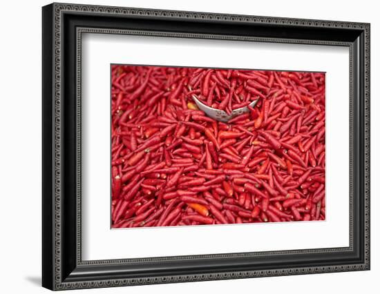 Chillies at Sunday Market at Bac Ha, Vietnam, Indochina, Southeast Asia, Asia-Bruno Morandi-Framed Photographic Print