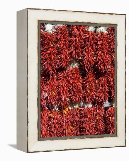 Chillies for Sales, Santa Fe, New Mexico, United States of America, North America-Richard Maschmeyer-Framed Premier Image Canvas