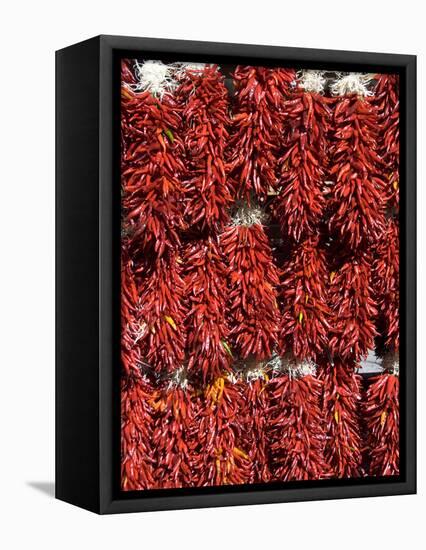 Chillies for Sales, Santa Fe, New Mexico, United States of America, North America-Richard Maschmeyer-Framed Premier Image Canvas