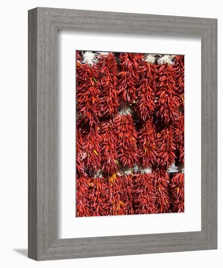 Chillies for Sales, Santa Fe, New Mexico, United States of America, North America-Richard Maschmeyer-Framed Photographic Print