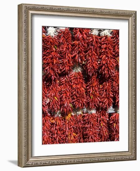 Chillies for Sales, Santa Fe, New Mexico, United States of America, North America-Richard Maschmeyer-Framed Photographic Print