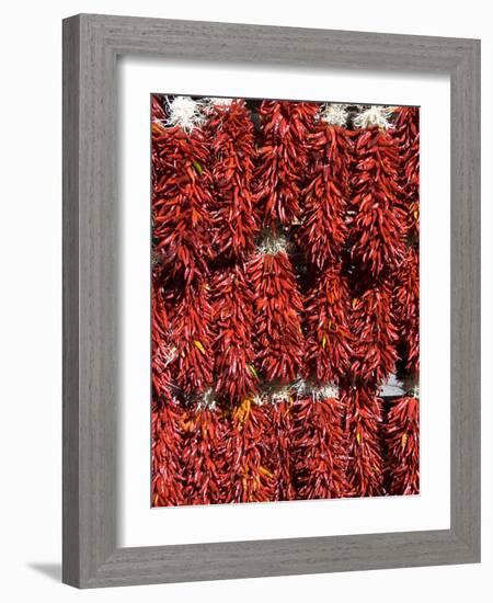 Chillies for Sales, Santa Fe, New Mexico, United States of America, North America-Richard Maschmeyer-Framed Photographic Print