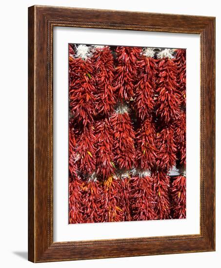 Chillies for Sales, Santa Fe, New Mexico, United States of America, North America-Richard Maschmeyer-Framed Photographic Print