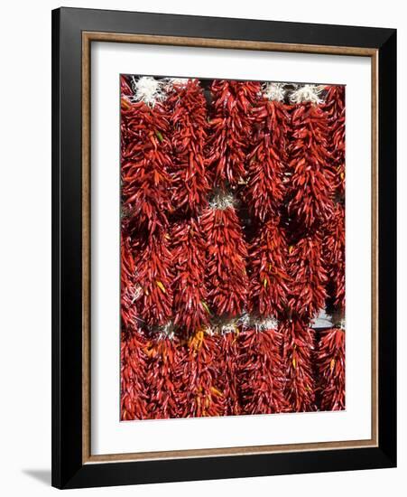 Chillies for Sales, Santa Fe, New Mexico, United States of America, North America-Richard Maschmeyer-Framed Photographic Print