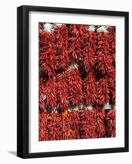 Chillies for Sales, Santa Fe, New Mexico, United States of America, North America-Richard Maschmeyer-Framed Photographic Print