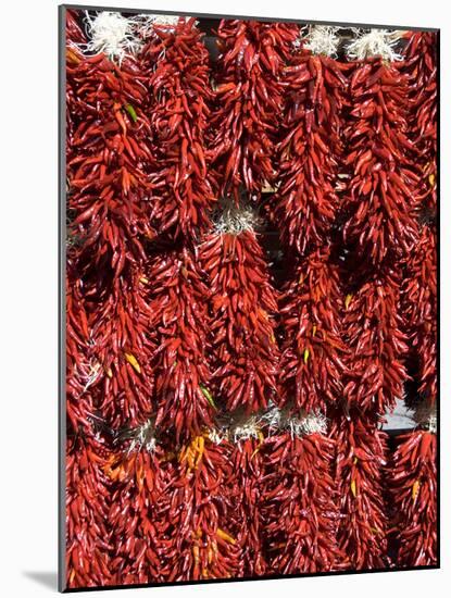 Chillies for Sales, Santa Fe, New Mexico, United States of America, North America-Richard Maschmeyer-Mounted Photographic Print