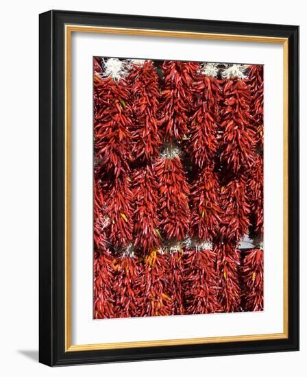 Chillies for Sales, Santa Fe, New Mexico, United States of America, North America-Richard Maschmeyer-Framed Photographic Print