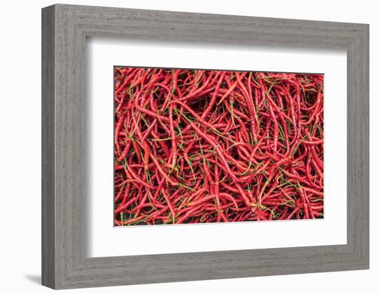 Chillies in Bukittinggi Market, West Sumatra, Indonesia, Southeast Asia, Asia-Matthew Williams-Ellis-Framed Photographic Print