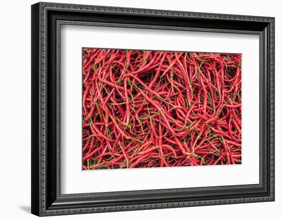 Chillies in Bukittinggi Market, West Sumatra, Indonesia, Southeast Asia, Asia-Matthew Williams-Ellis-Framed Photographic Print