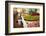 Chillies in Market in Pulua Weh, Sumatra, Indonesia, Southeast Asia-John Alexander-Framed Photographic Print