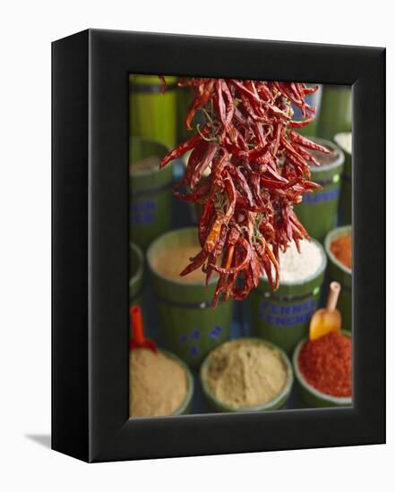 Chillies in Spice Market, Istanbul, Turkey, Europe-Sakis Papadopoulos-Framed Premier Image Canvas