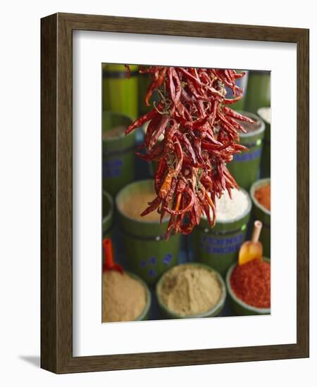 Chillies in Spice Market, Istanbul, Turkey, Europe-Sakis Papadopoulos-Framed Photographic Print