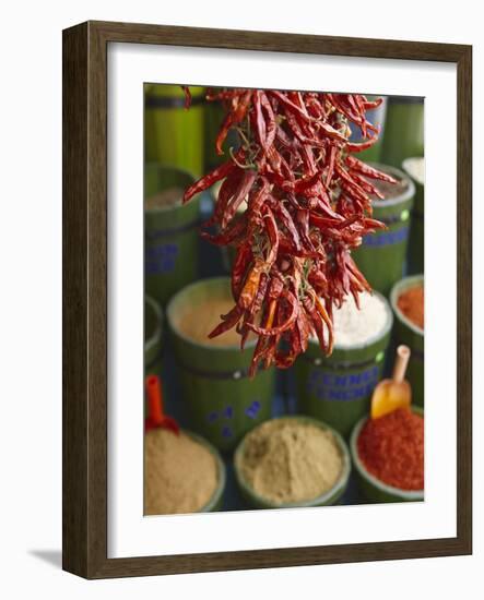Chillies in Spice Market, Istanbul, Turkey, Europe-Sakis Papadopoulos-Framed Photographic Print